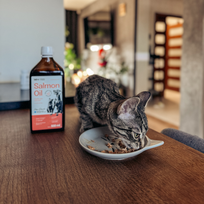 Lab-v Salmon Oil - Olej z łososia 100% dla psa i kota 100 ml w szklanej butelce